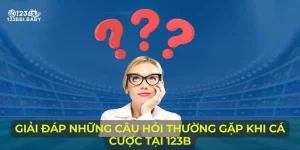 Những câu hỏi thường gặp