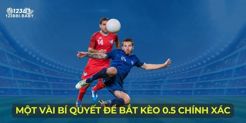 Một vài bí quyết để bắt kèo 0.5 chính xác