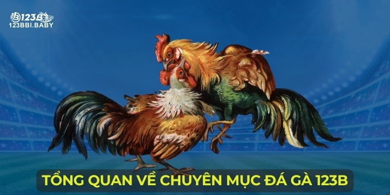 Tổng quan về chuyên mục đá gà 123B