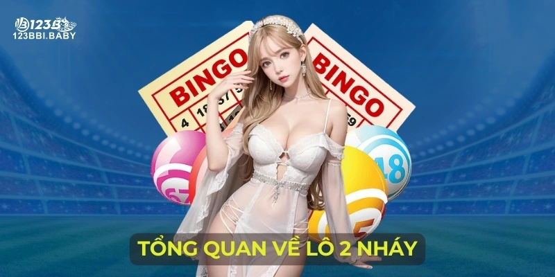 Tổng quan về lô 2 nháy